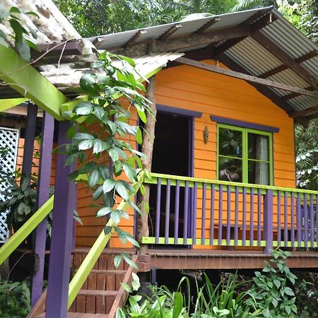 Rainforest Hideaway Cape Tribulation Ngoại thất bức ảnh