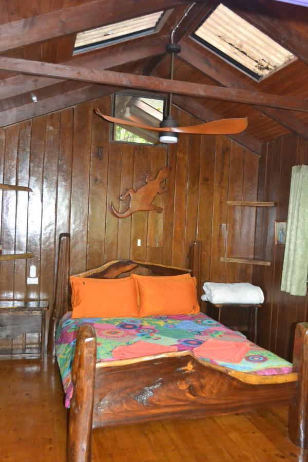 Rainforest Hideaway Cape Tribulation Ngoại thất bức ảnh