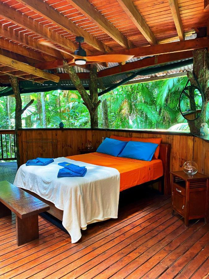 Rainforest Hideaway Cape Tribulation Ngoại thất bức ảnh